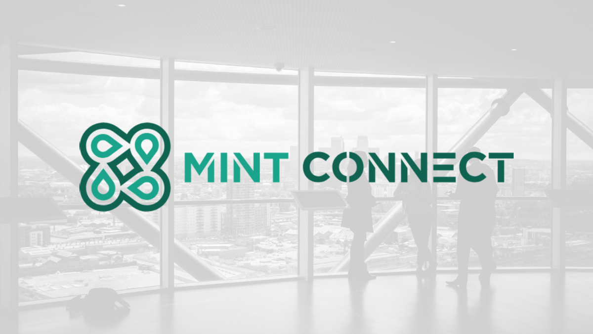 Preview image published by mintconnect.co